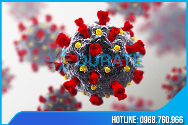 Tủ đông siêu lạnh rất quan trọng với việc bảo quản vaccine covid 19