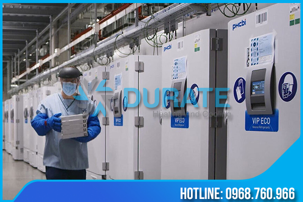 Tủ đông siêu lạnh rất quan trọng với việc bảo quản vaccine covid 19