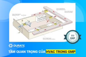 Tầm quan trọng của hệ thống HVAC trong GMP