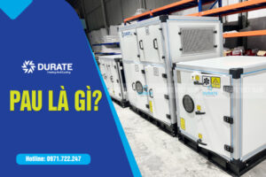 PAU LÀ GÌ ?